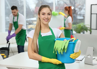 House Cleaning
